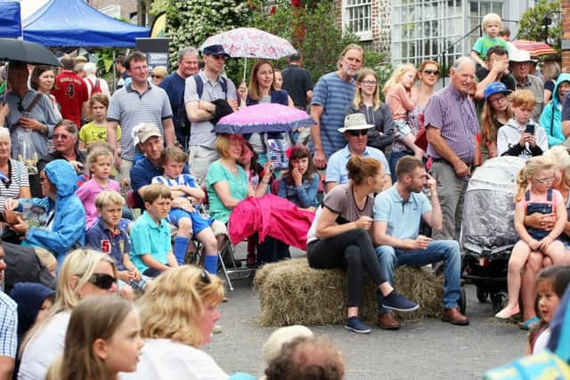 Steyning Country Fair will be among the events for the Horsham District Year of Culture 2019. Photo by Derek Martin SUS-170529-190102008