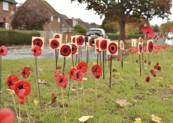 Poppies have been displayed around Westfield to mark 100 years since the end of World War One. SUS-181031-133602001
