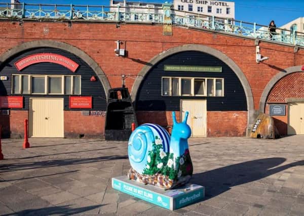 Sidney the Snail embraces seaside life and can be found at the Fishing Museum on Brighton seafront. Picture: Liz Finlayson/Vervate