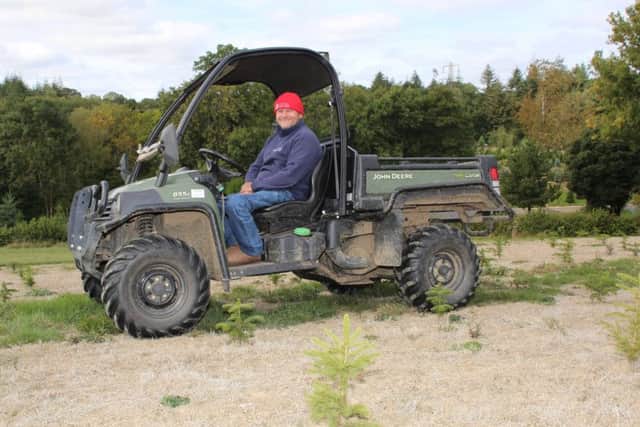 Clive inspects his Christmas trees