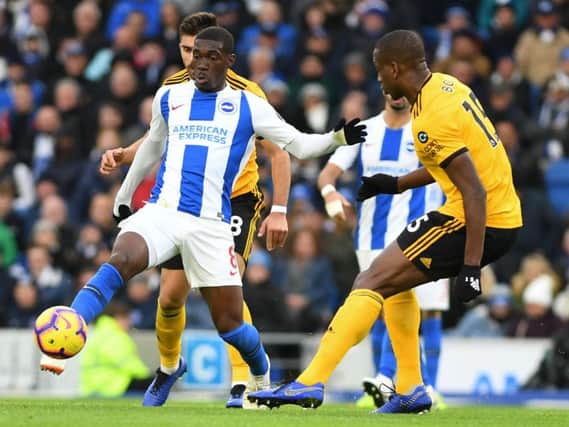 Action from Brighton & Hove Albion's match with Wolves last month. Picture by PW Sporting Photography