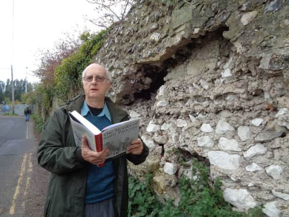 Historian's fears: Cllr Dr Graham Mayhew and the damaged wall