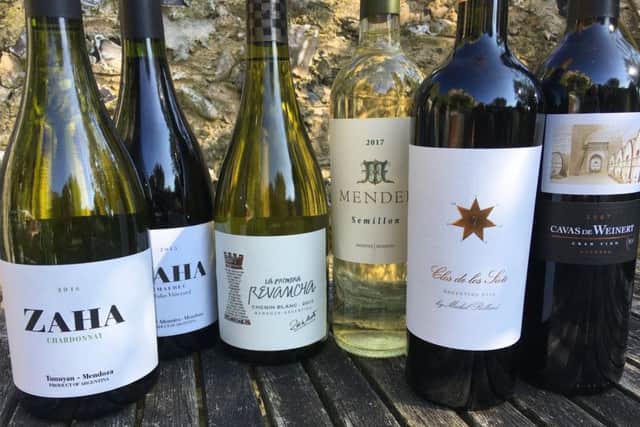 Wines from Mendoza