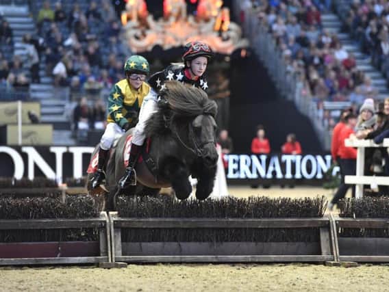 Action from last year's Shetland Pony Grand National
