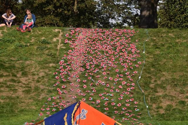 PrioryPark poppies,madeforPrioryPark100, and cascading over the mound have become an attraction in the park. Picture contributed