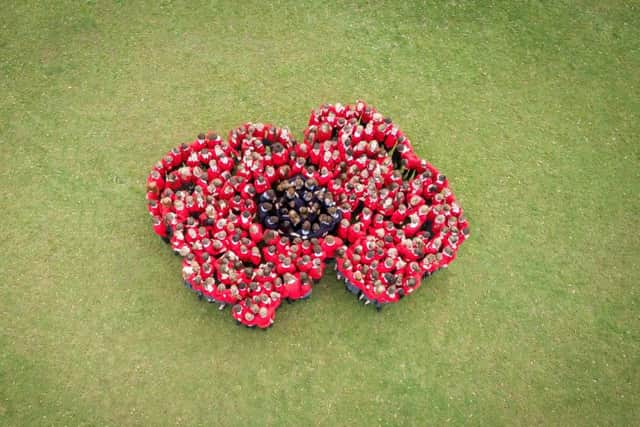 Pupils at Downlands Community School in Hassocks created a visual poppy to mark Remembrance Day