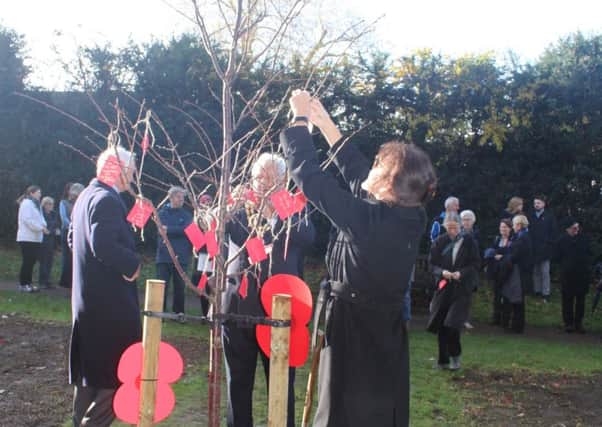 A tree planting ceremony was held in Horsham Park to mark the centenary of the end of the First World War SUS-181211-172445001