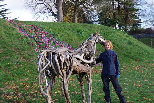Trudy Redfern's horse sculpture. Picture contributed