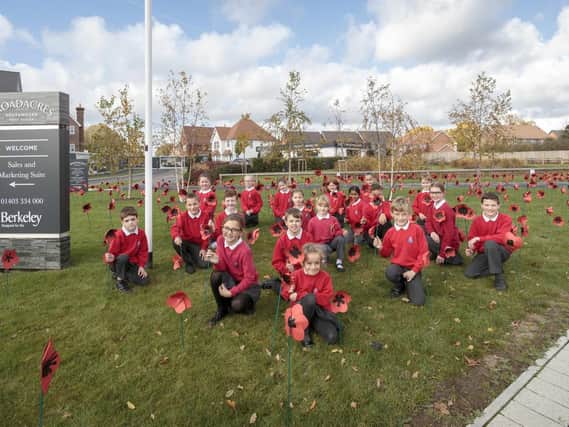 A beautiful display of 480 cardboard hand-crafted poppies with bamboo stalks, made by children from Southwater Junior Academy was unveiled at Berkeley Homes' Broadacres development in Southwater on Thursday November 8