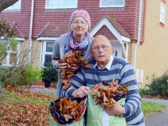Paul Parker and his wife Marion outside their home in Rosemead Littlehampton, with the leaves they have collected from the maple tree, which is out of shot to the left.