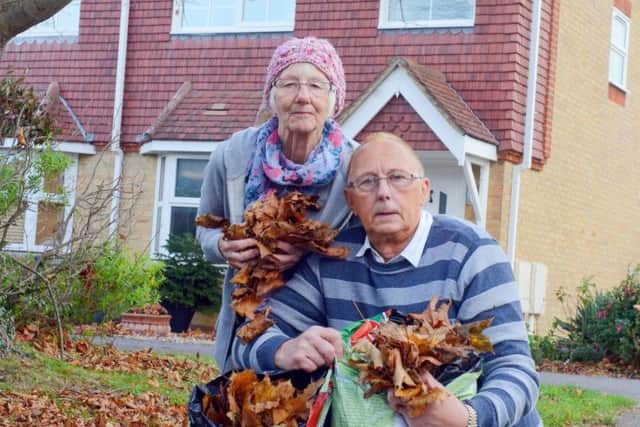 Paul Parker and his wife Marion outside their home in Rosemead Littlehampton, with the leaves they have collected from the maple tree, which is out of shot to the left.