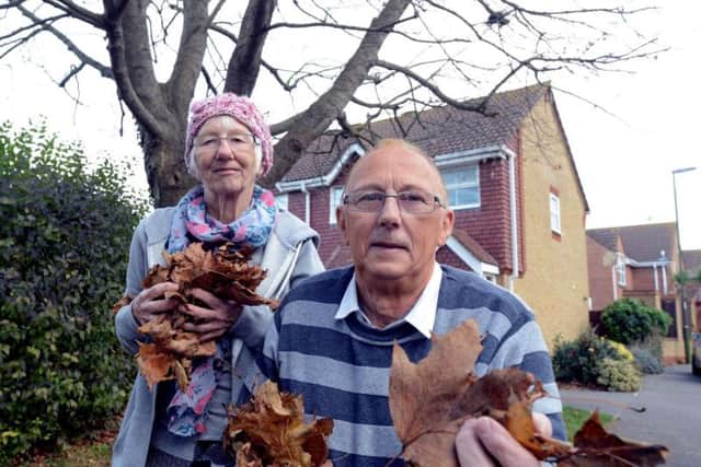 Paul Parker and his wife Marion outside their home in Rosemead Littlehampton, with the leaves they have collected from the maple tree