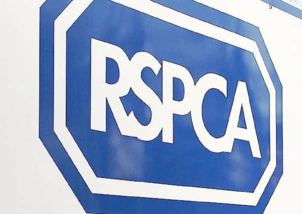 The RSPCA is appealing for information after the distressing incident