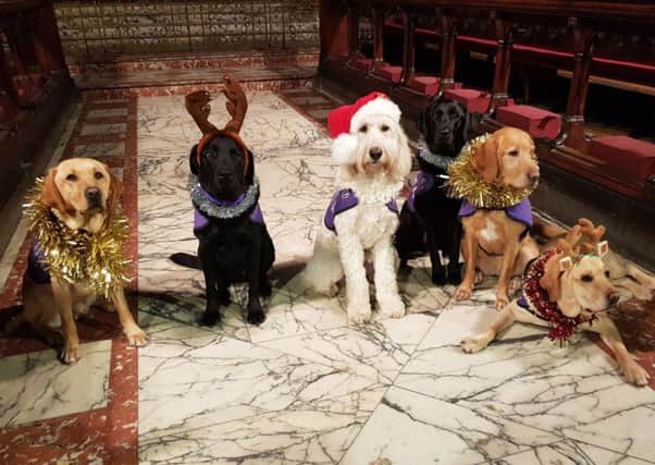 Assistance dogs are lining up to take part in the Canine Partners carol service