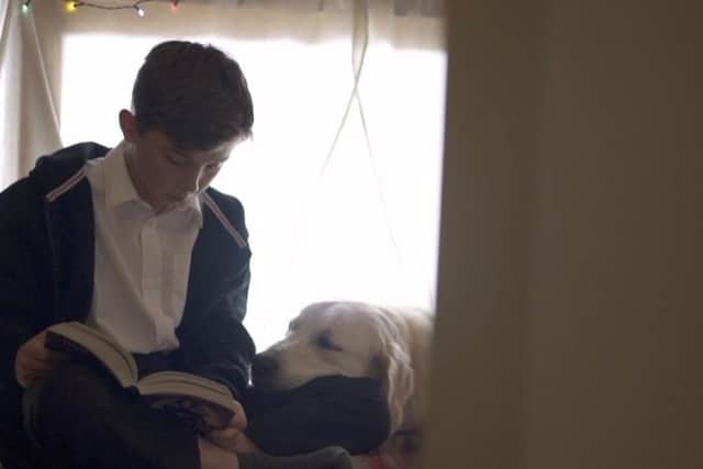 Charlie Chambers, 11, from Horsham plays a role in the RSPCA's new Christmas advert