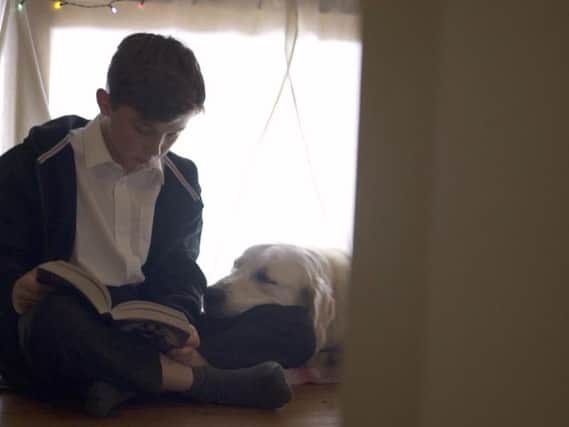 Charlie Chambers, 11, from Horsham plays a role in the RSPCA's new Christmas advert
