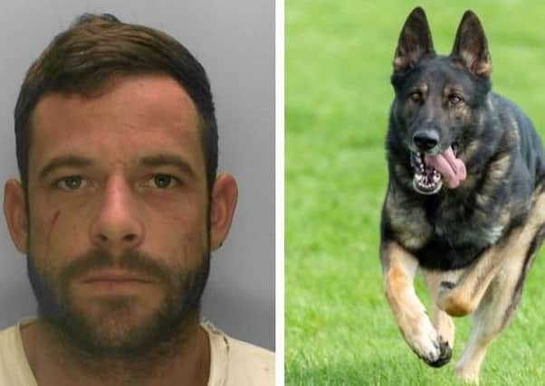 Ben Atkinson and PD Vinnie. Photos: Sussex Police