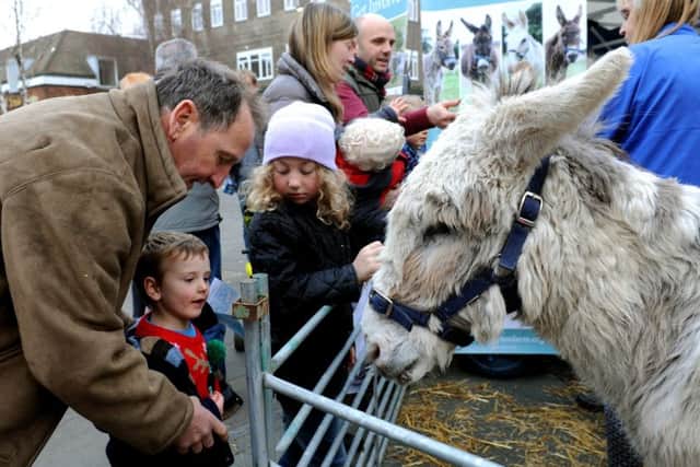 Kids meet the donkey at the 2016 Christmas event. Picture by Steve Robards, SR1637059