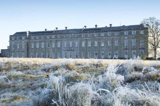 Frost in Petworth Park Picture: @National Trust Images John Miller