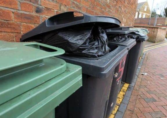 'Sensible-sized' bins are needed for the fortnightly collections