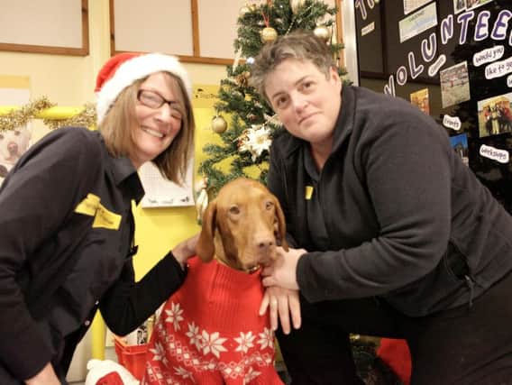 Tracey Rae, rehoming centre manager, and Vicky make Christmas special for all at Dogs Trust Shoreham