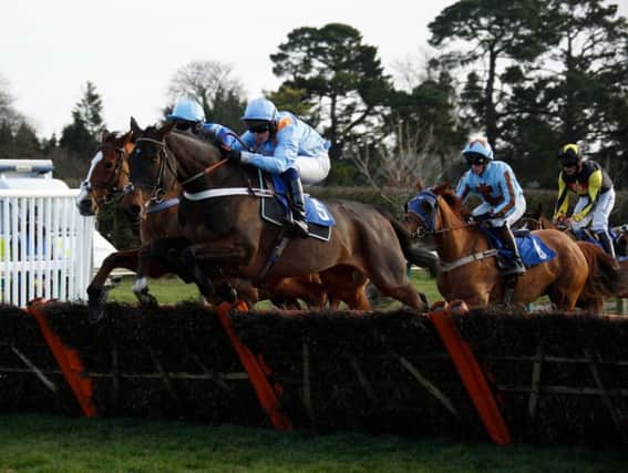 There are 60 runners set to go at Fontwell on Boxing Day / Picture by Clive Bennett