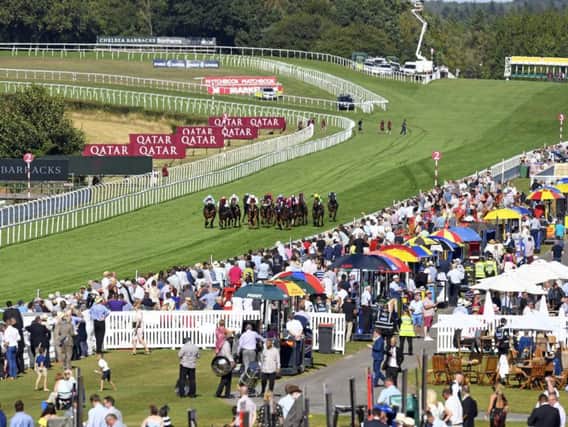 It's a Glorious scene at Goodwood / Picture by Malcolm Wells