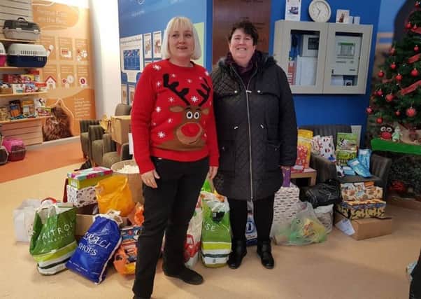 Justine Crookall launched a Christmas box appeal in Mid Sussex for animals at Raystede Animal Welfare