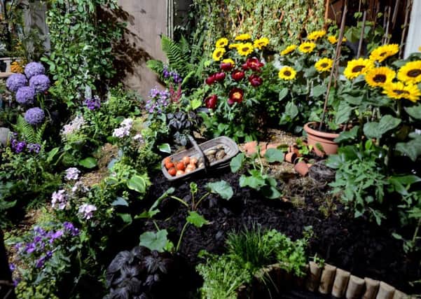 Garden top tips for the new year