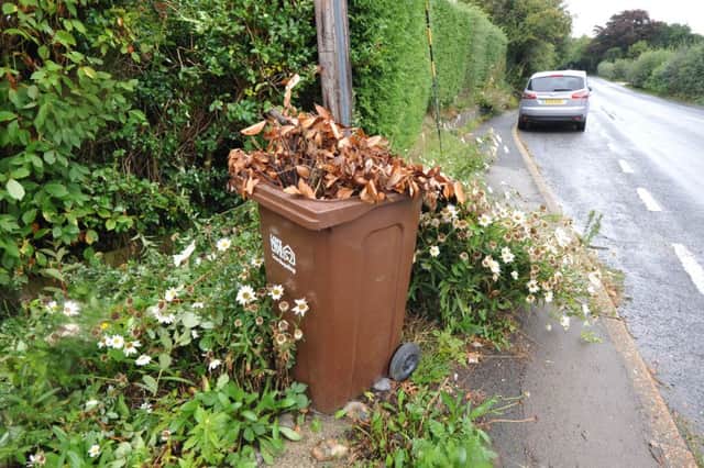 A brown Wealden garden waste bin