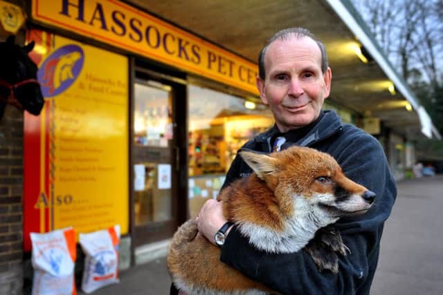 Steve Edgington with pet fox Lobo he rescued using his Land Rover Freelander. Photo by Steve Robards