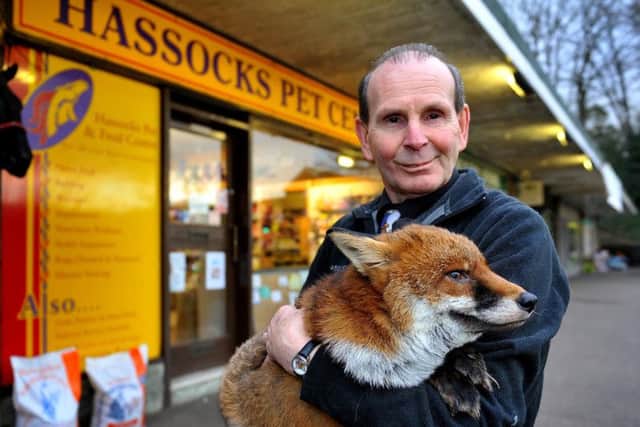 Steve Edgington with Lobo, a fox he rescued using his Land Rover Freelander. Photo by Steve Robards