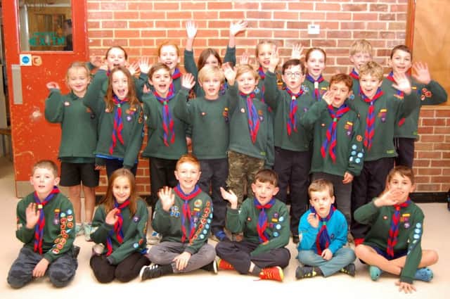 Previous winners of the Proud to be Local campaign, Second Horsham Scout Group