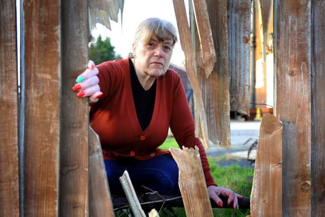 Viv Cottenham next to the destroyed fencing. Picture: Steve Robards