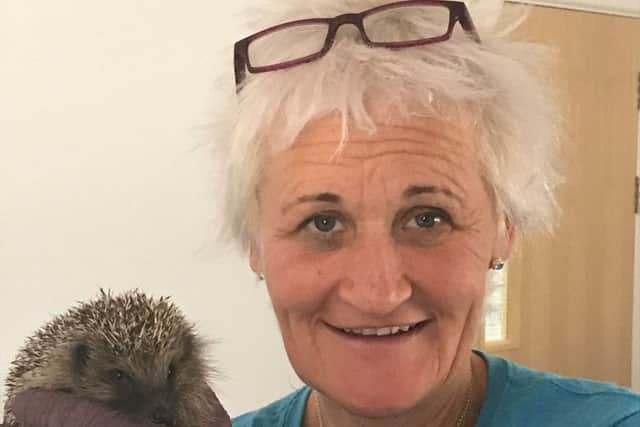 Wadars animal rescue officer Elaine Sinclair with a hedgehog SUS-180919-164807001