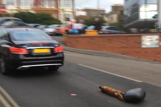 Police said a car was seen with a black bag tied to its rear bumper, which on closer inspection was found to contain the body of a dead fox