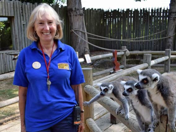 Drusillas Park volunteer Rita with some of its lemurs