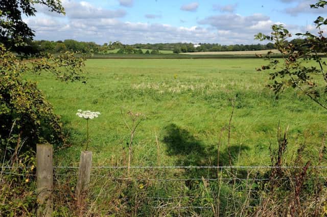 Land at Ockley Lane north of Clayton Mills where 500 homes are planned. Pic Steve Robards SR1723505 SUS-170920-085647001