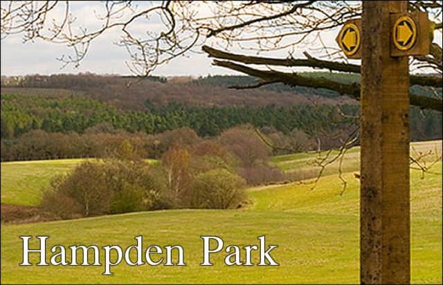 Hampden Park news