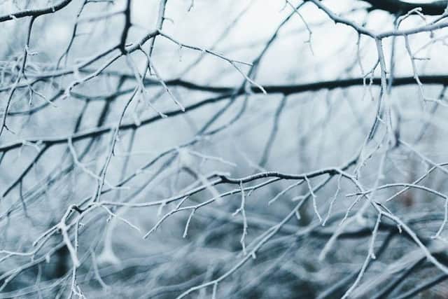 A cold weather and ice warning has been issued for Mid Sussex