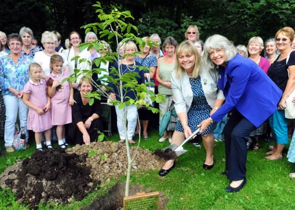 Jane Probitts, NFWI Trustee,  front right, and Lisa Emmerson, president of the Singleton and East Dean WI, which was one of the first groups, planting a tree at the Weald and Downland to celebrate the centenary in 2015.ks1500436-1