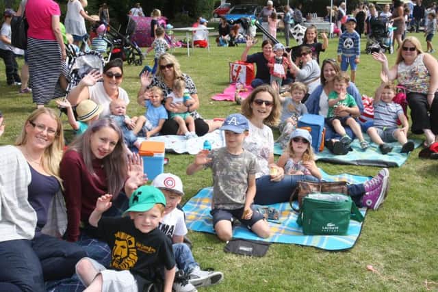 Picnic in the Park, organised by Friends of Tarring Park, was one of many events to benefit from Voluntary Action Worthing's help. Photo by Derek Martin DM16134574a