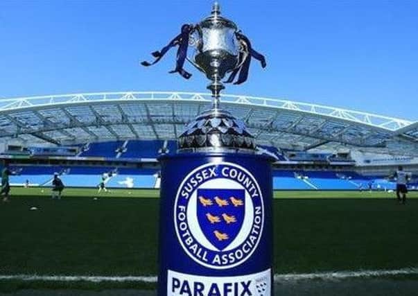 Parafix Sussex Senior Cup