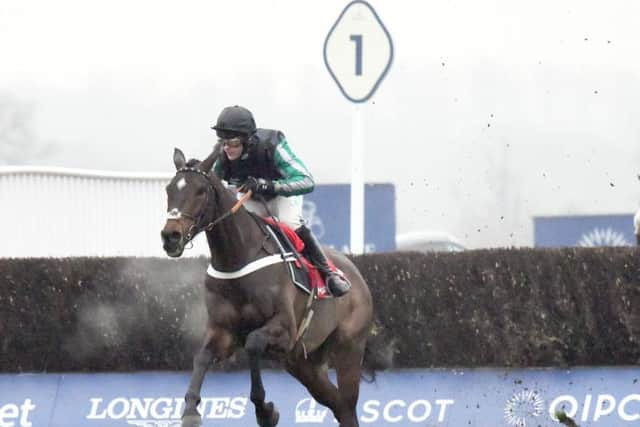 Altior romps to victory / Picture by Malcolm Wells