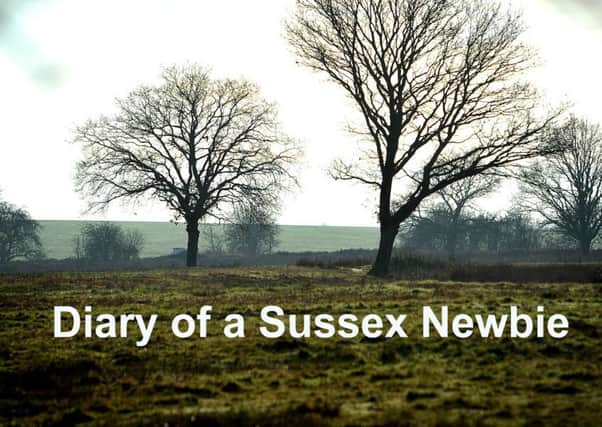 Diary of a Sussex Newbie SUS-181228-115116001 SUS-181228-115116001