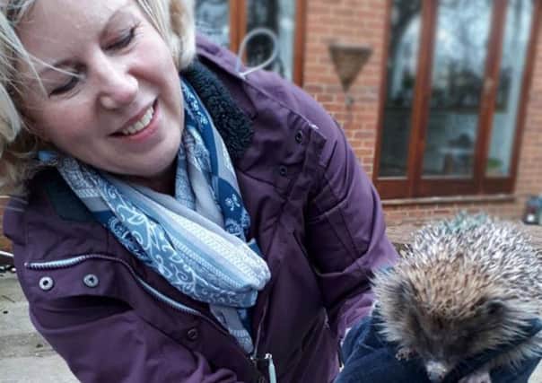 Ann Winney with one of the hedgehogs in her care sHYGoZwODUJhWhDxs1iV