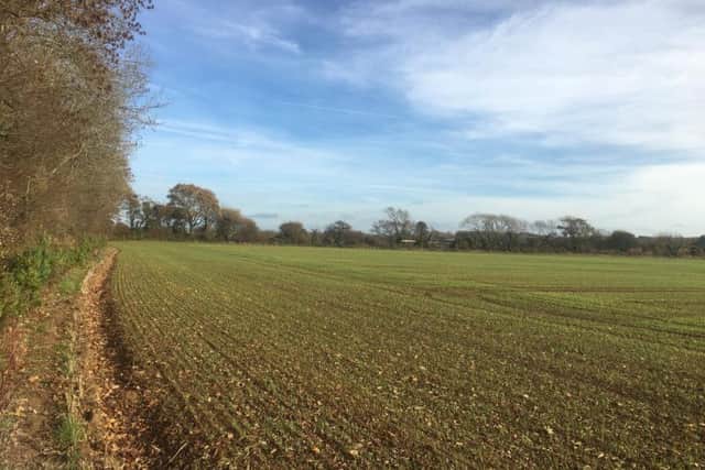 Land being looked at by Southern Co-op for new crematorium. Picture contributed