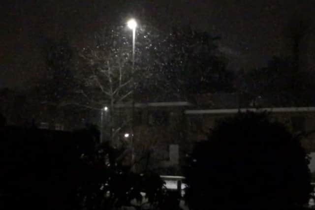Snow fell in Hastings last night. Picture and video by Daniel Burton