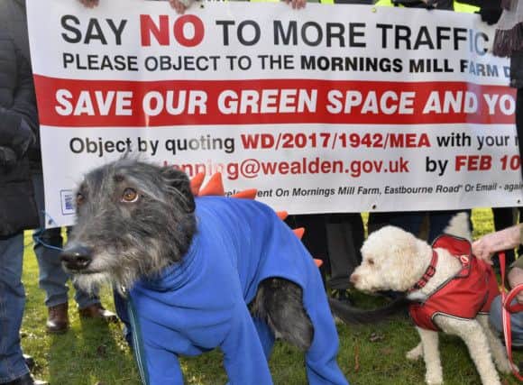 Four-legged friends joined the protest march at Mornings Mill Farm (Photo by Jon Rigby)