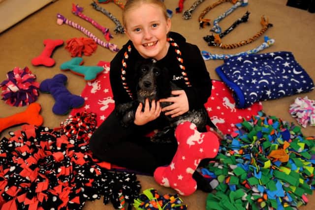Maisie is selling handcrafted dog toys to raise money for mental health services. Photo by Steve Robards